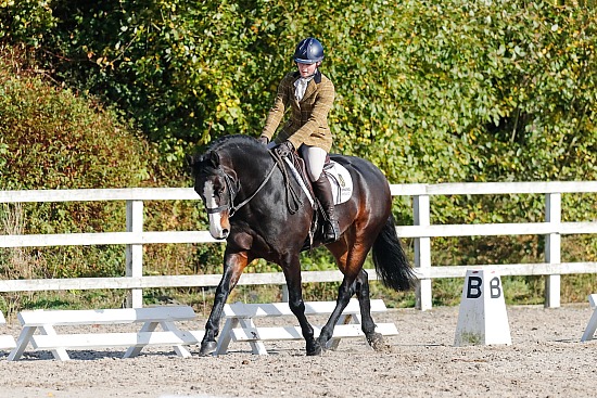 WL Region AYU Dressage League, CoilÓg, 19/10/2024