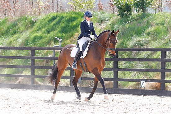 Killcarrick RC, Dressage, Greenogue, 19/04/2026